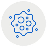 Mexon Medex